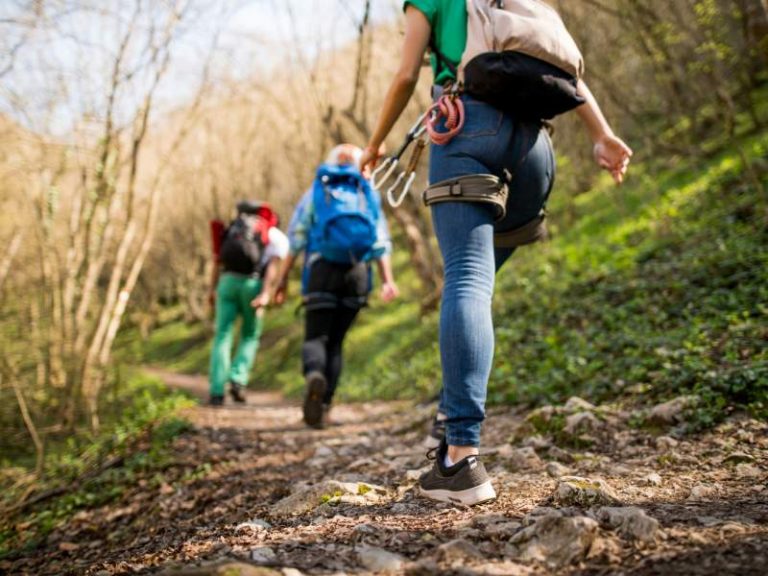 Randonnée dans le Tarn activité nature en forêt pour touristes et vacanciers